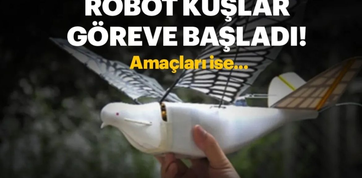 Yeni nesil robot kuşlar göreve başladı