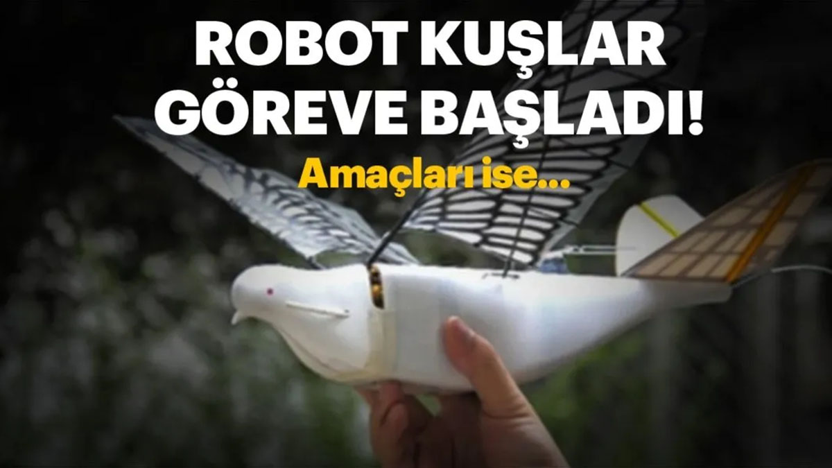 Yeni nesil robot kuşlar göreve başladı